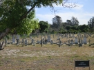 The Island's Cemetery
